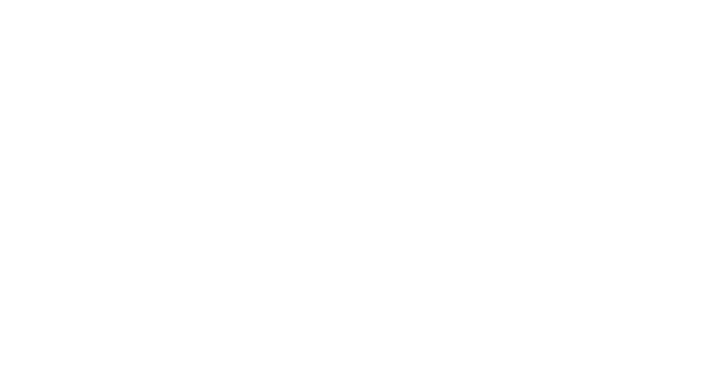 HIS Logo White